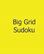 Big Grid Sudoku