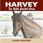 Harvey the Right Handed Horse