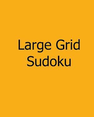 Large Grid Sudoku