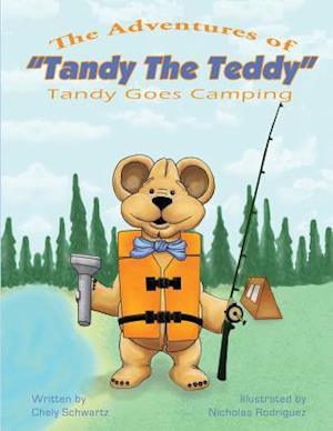 The Adventures of Tandy the Teddy