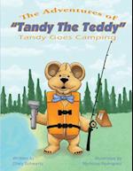 The Adventures of Tandy the Teddy