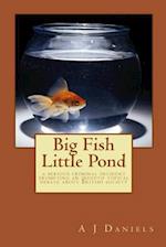 Big Fish Little Pond