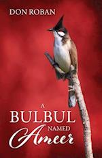 A Bulbul Named Ameer