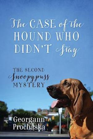 The Case of the Hound Who Didn't Stay