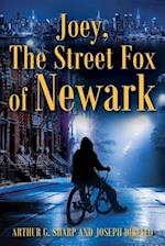 Joey, The Street Fox of Newark