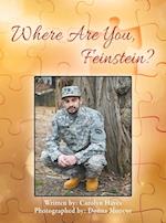 Where Are You, Feinstein?