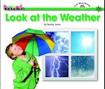 Look at the Weather Shared Reading Book (Lap Book)