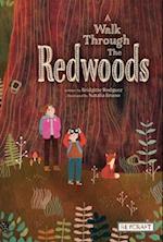 A Walk Through the Redwoods