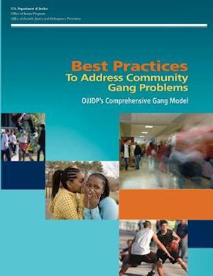 Best Practices to Address Community Gang Problems