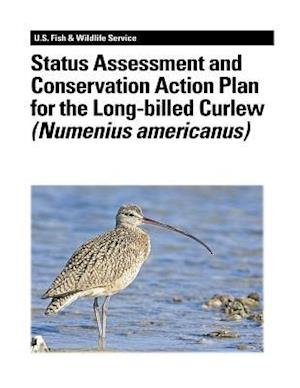 Status Assessment and Conservation Action Plan for the Long-Billed Curlew (Numenius Americanus)