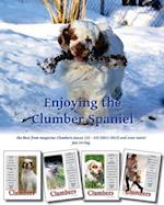 Enjoying the Clumber Spaniel