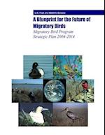 A Blueprint for the Future of Migratory Birds