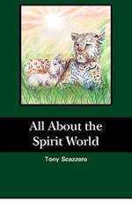 All about the Spirit World