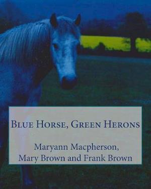 Blue Horse, Green Herons