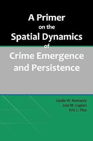 A Primer on the Spatial Dynamics of Crime Emergence and Persistence