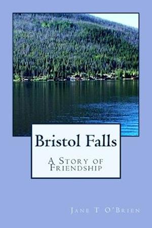 Bristol Falls