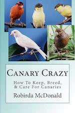 Canary Crazy