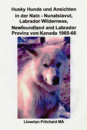 Husky Hunde Und Ansichten in Der Nain - Nunatsiavut