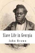 Slave Life in Georgia