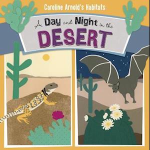 A Day and Night in the Desert