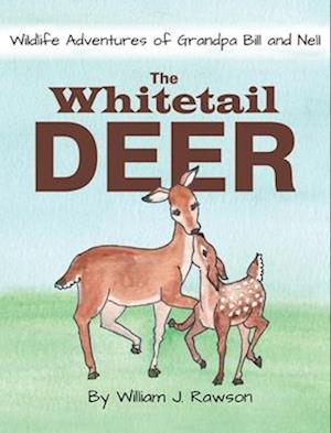 The Whitetail Deer