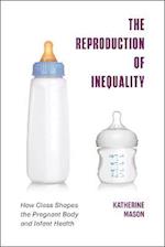 Reproduction of Inequality