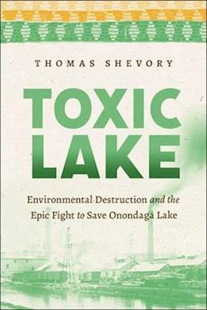 Toxic Lake