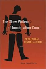 The Slow Violence of Immigration Court