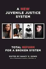 New Juvenile Justice System