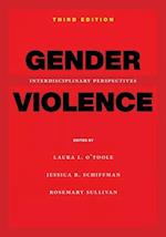 Gender Violence, 3rd Edition