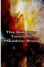 The Bobbsey Twins At Meadow Brook