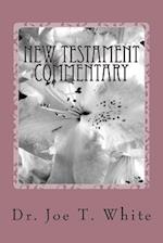 New Testament Commentary Volume Six