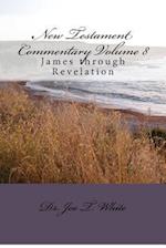 New Testament Commentary Volume 8