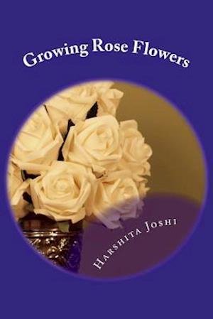 Growing Rose Flowers