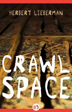 Crawlspace