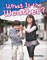 What Is the Weather? (Kindergarten)