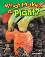 What Makes a Plant? (Grade 1)