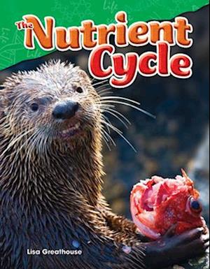 The Nutrient Cycle (Grade 4)