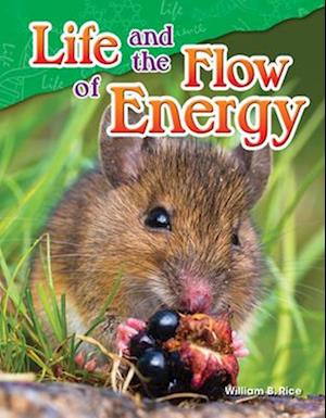 Life and the Flow of Energy (Grade 5)
