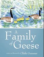 A Family of Geese