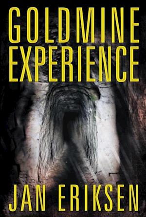 Goldmine Experience