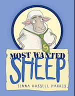 Most Wanted Sheep