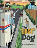 The "Lost" Dog