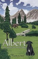 Albert, the Story of a Lost Dog