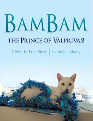 Bambam, the Prince of Valprivas!