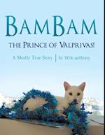 Bambam, the Prince of Valprivas!