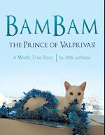 BamBam, the Prince of Valprivas!