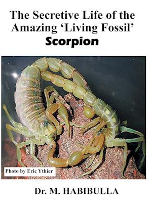 The Secretive Life of the Amazing 'Living Fossil' Scorpion