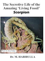 The Secretive Life of the Amazing 'Living Fossil' Scorpion