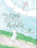 The Little Bunny Rabbit